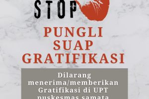 STOP PUNGLI